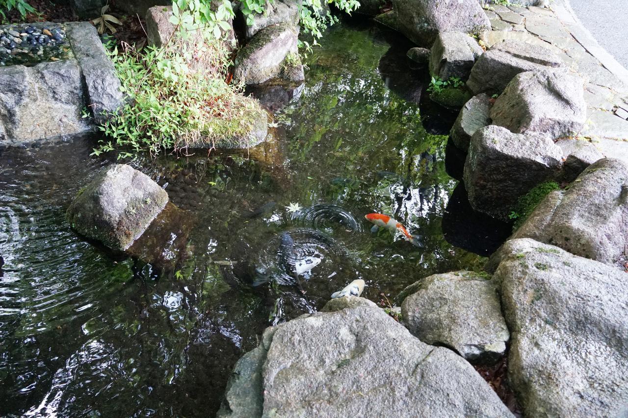 ブランヴェール那須 温泉ホテル 那須町 エクステリア 写真